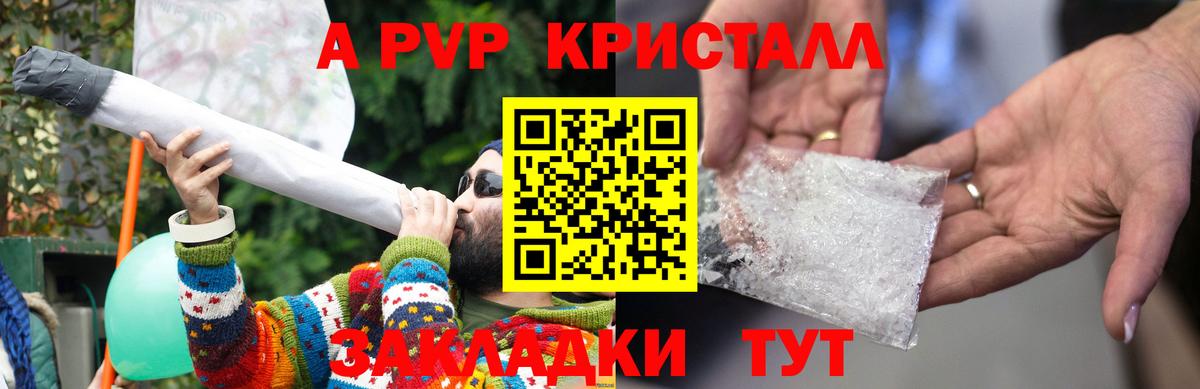 A PVP СК КРИС  Вход с VPN  A-PVP СК КРИС  Alfa_PVP  Балтийск 