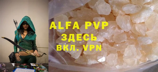 индика Пестово