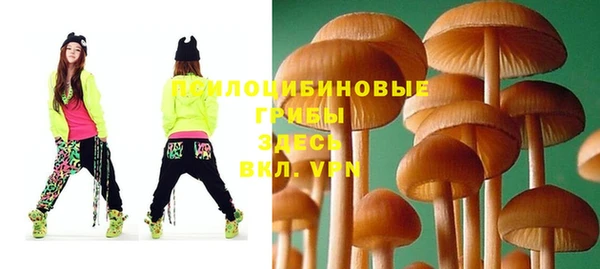индика Пестово