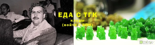 индика Пестово