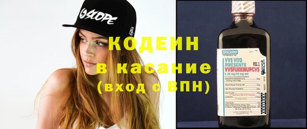 индика Пестово