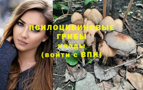 прущая мука Пересвет