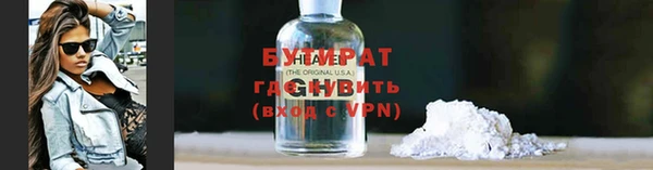 индика Пестово