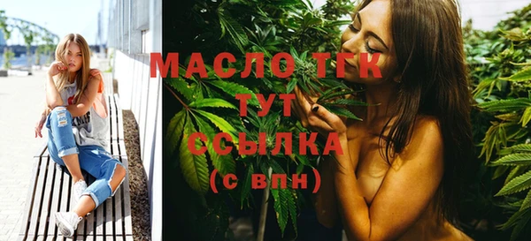 индика Пестово