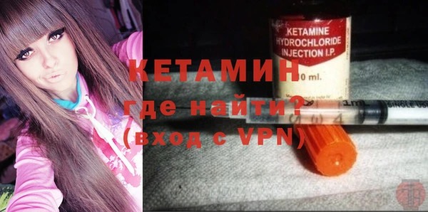 индика Пестово