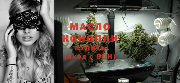 индика Пестово