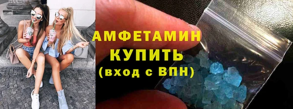 индика Пестово