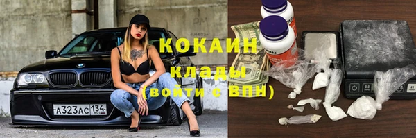 прущая мука Пересвет