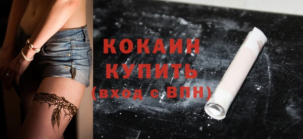 индика Пестово