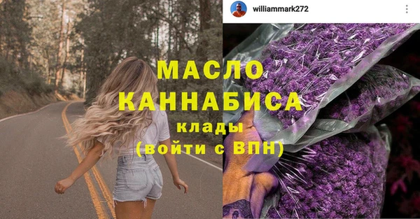 индика Пестово