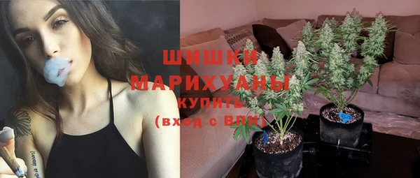 индика Пестово