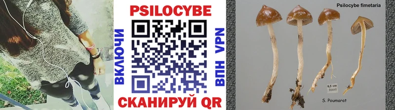 Псилоцибиновые грибы ЛСД  Балтийск 