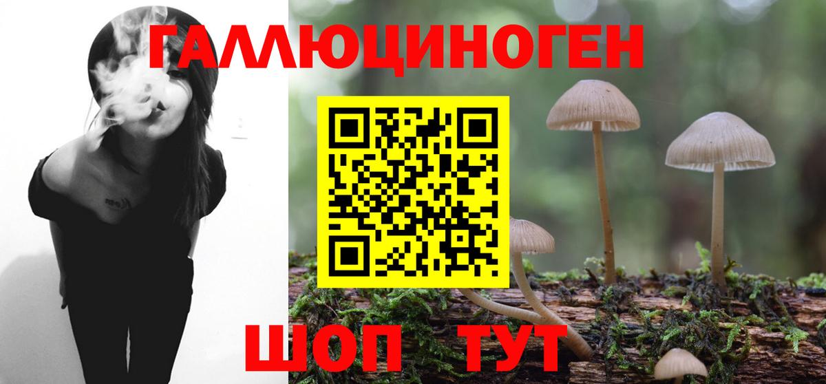Галлюциногенные грибы прущие грибы Балтийск