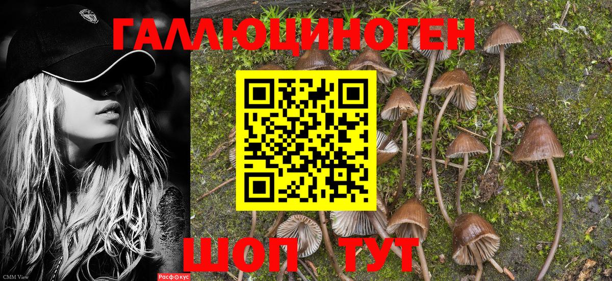 Псилоцибиновые грибы MAGIC MUSHROOMS  Вход с VPN  Галлюциногенные грибы Cubensis  Балтийск 