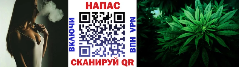 Каннабис конопля  цены   Балтийск 