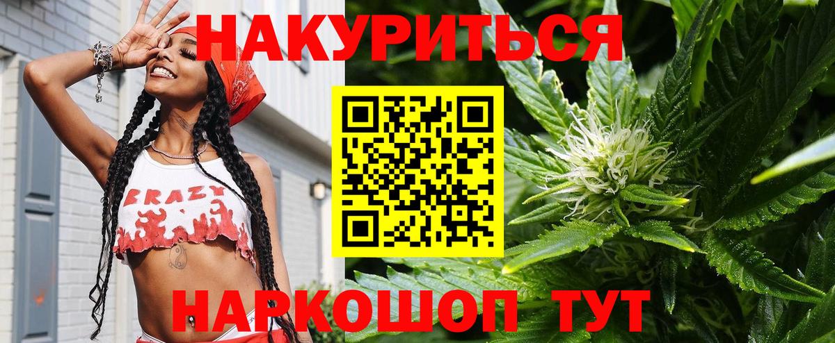 Конопля гибрид Балтийск